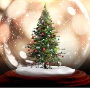 Meet your Posher, Dani